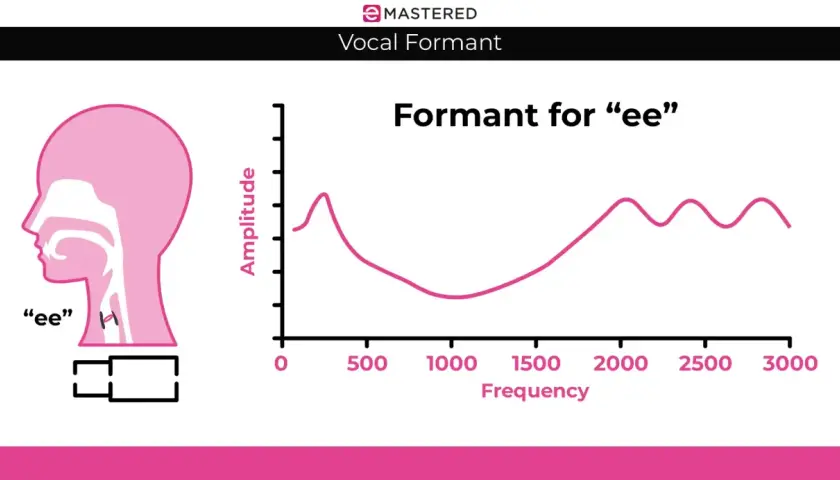Diagramm zeigt den Vokal "ee" und seine Frequenzanalyse. Der **formant shifting** wird durch die Kurve dargestellt.