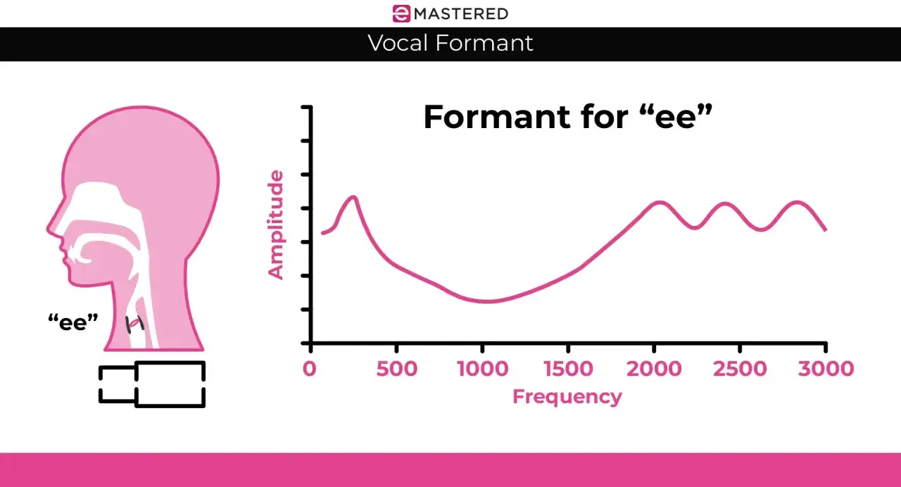 Diagramm zeigt den Vokal "ee" und seine Frequenzanalyse. Der **formant shifting** wird durch die Kurve dargestellt.