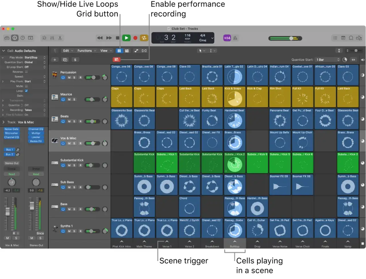 Logic Pro Tutorial: Live Loops Grid mit Percussion, Beats und Bass-Spuren. Zellen spielen in einer Szene.